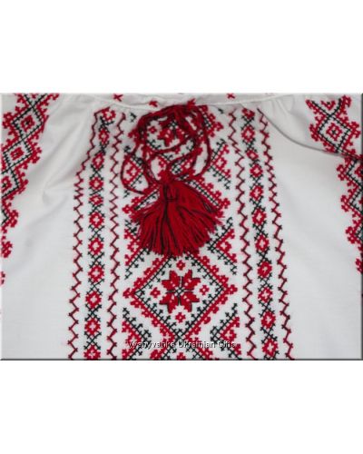 Hand Embroidered Women's Ukrainian Blouse - XXL