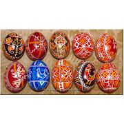 10 Real Ukrainian Pisanky Eggs Bukovyna Patterns