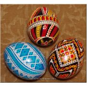 3 Hand Painted Real Easter Eggs Ukrainian Pysanka