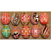 10 Real Ukrainian Pisanky Eggs Bukovyna Patterns