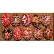 10 Real UKRAINIAN Psanky Easter EGGS / Egg / Pysanka