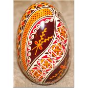 Real Ukrainian Goose Egg Nice Quality Pysanka