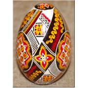 Ukrainian Pysanka Real Goose Egg — Infinity Ribbon Medallions