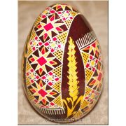 Ukrainian Pysanka Real Goose Egg Hand Painted