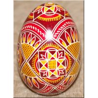 Ucrainian Pisanka Real Hand Painted Goose Egg