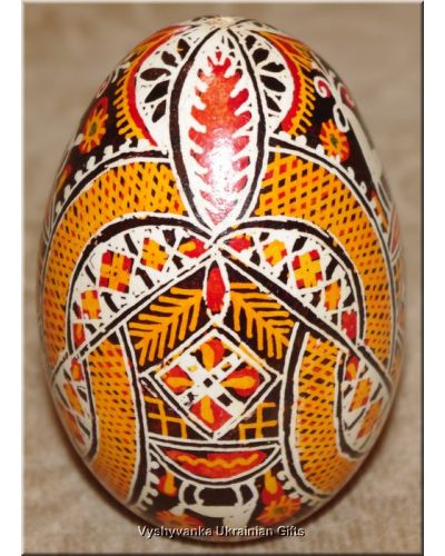 Real Goose Egg Hand Painted Ukrainian Pysanka
