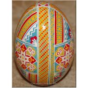 Real Pysanka Ukrainian Goose Egg Hand Painted