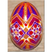 Ukrainian Pysanka Real Goose Egg — Violet Star Medallion Lattice