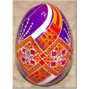 Ukrainian Pysanka Real Goose Egg — Violet Rushnyk & Diamond Mesh