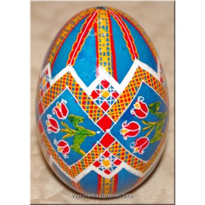 Ukrainian Pysanka Real Goose Egg. Good Quality