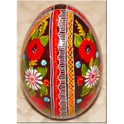 Easter Egg Ukrainian Goose Pysanka Nice Quality
