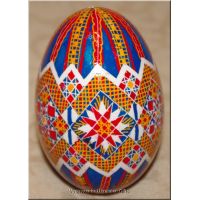 Ucrainian Pisanka Real Hand Painted Goose Egg
