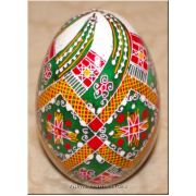 Ukrainian Pysanka Real Goose Egg — Green Rushnyk & Star Diamond