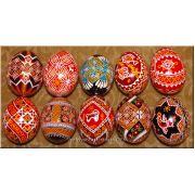 10 Real Ukrainian Pysanky Eggs Bukovyna Patterns