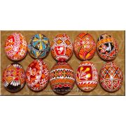 10 Real Ukrainian Pisanky Eggs Bukovyna Patterns