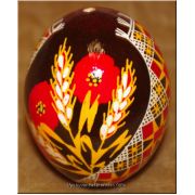 Ukrainian Hand Painted Nice Quality Pysanka