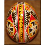 Easter egg Real Ukrainian Pysanka Hen Blown Egg