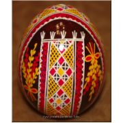 Easter egg Real Ukrainian Pisanka Hen Blown Egg