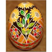 Real Ukraine Easter Egg Nice Quality Pysanka