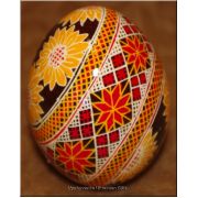 Real Easter egg Ukrainian Art Pysanka Chicken Blown Egg